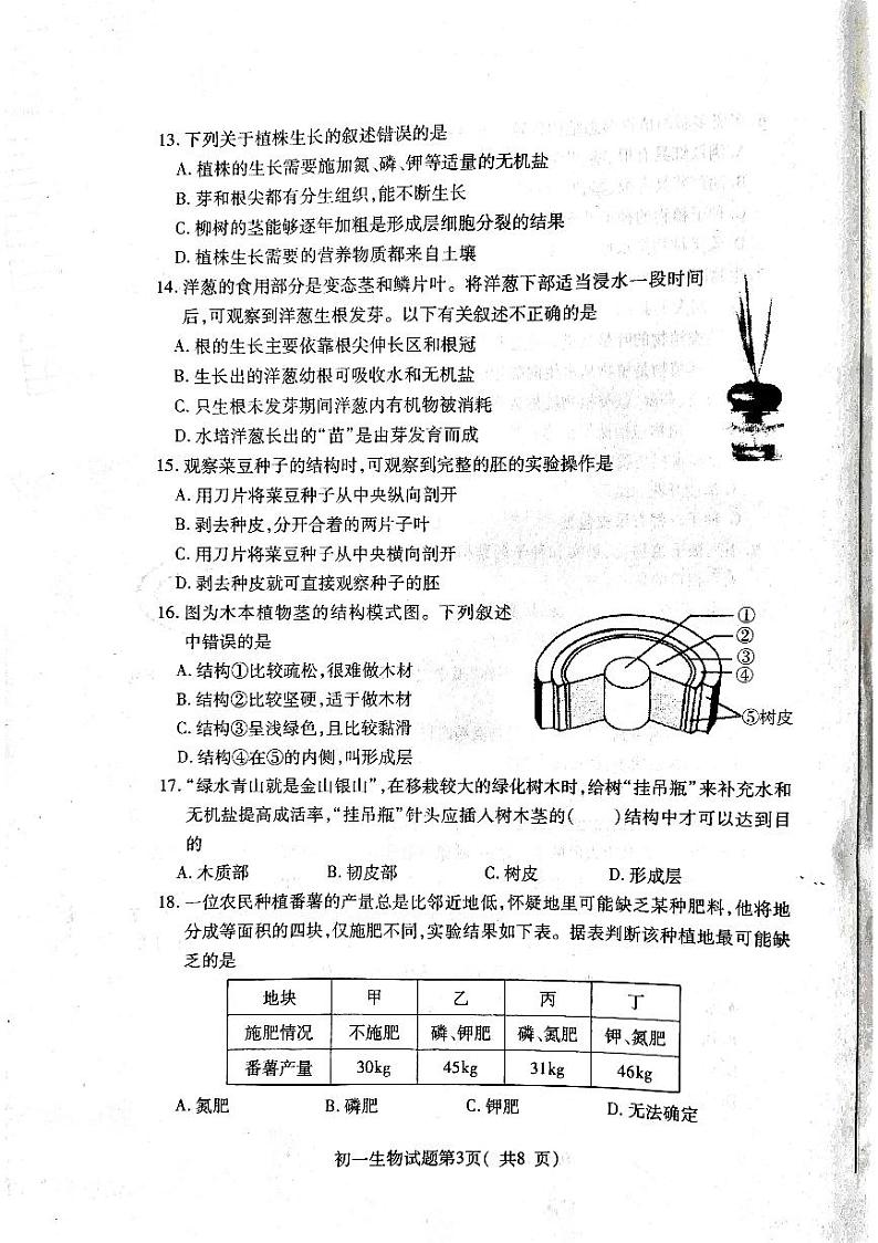 山东省烟台市龙口市2022-2023学年六年级下学期4月期中生物试题03