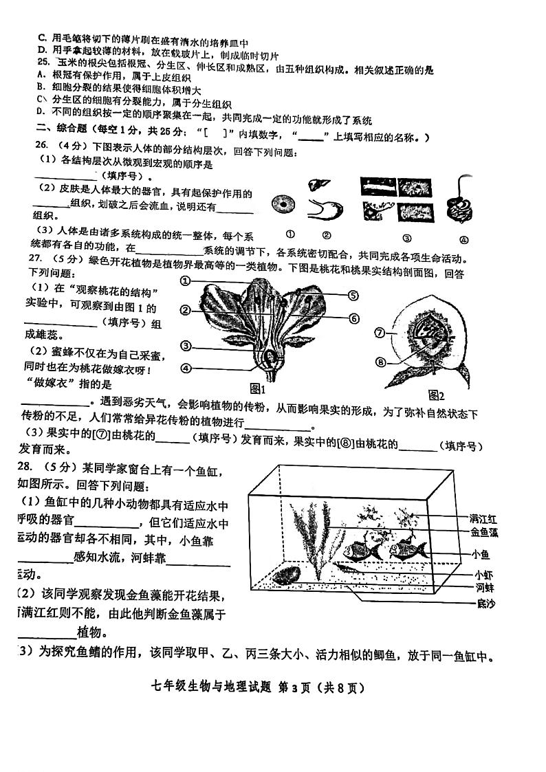江苏省连云港市东海县2022-2023学年七年级下学期期中生物试题第3页