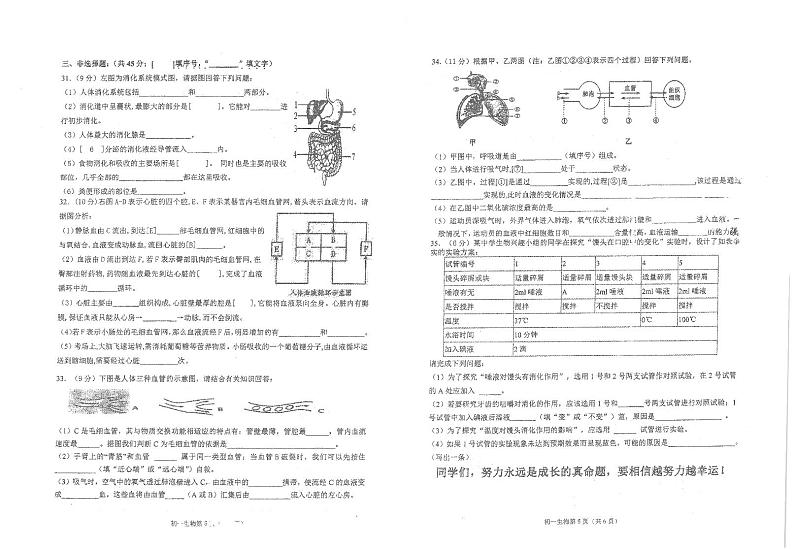 福建省泉州市实验中学2022-2023学年七年级下学期期中生物试卷03