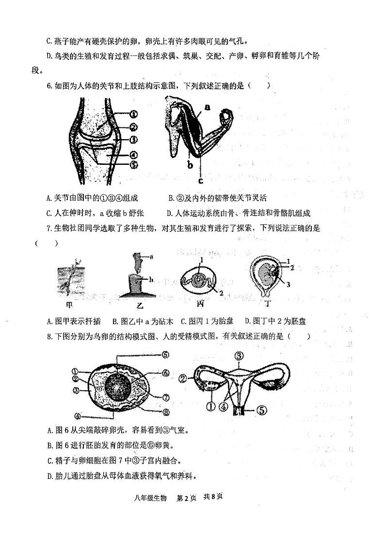 河南省开封市第三十三中学2022-2023学年八年级下学期期中生物试题02