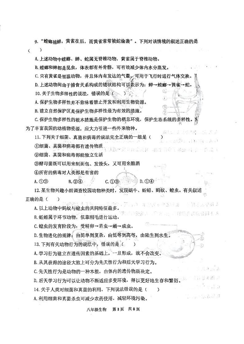 河南省开封市第三十三中学2022-2023学年八年级下学期期中生物试题03