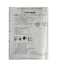 山东省济宁市金乡县2022-2023学年八年级下学期第一次学情检测（期中）生物试题