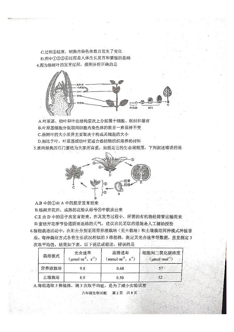 山东省泰安市宁阳县2022-2023学年八年级下学期期中考试生物试题第2页