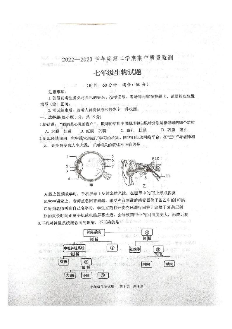 山东省泰安市宁阳县2022-2023学年七年级下学期期中考试生物试题01