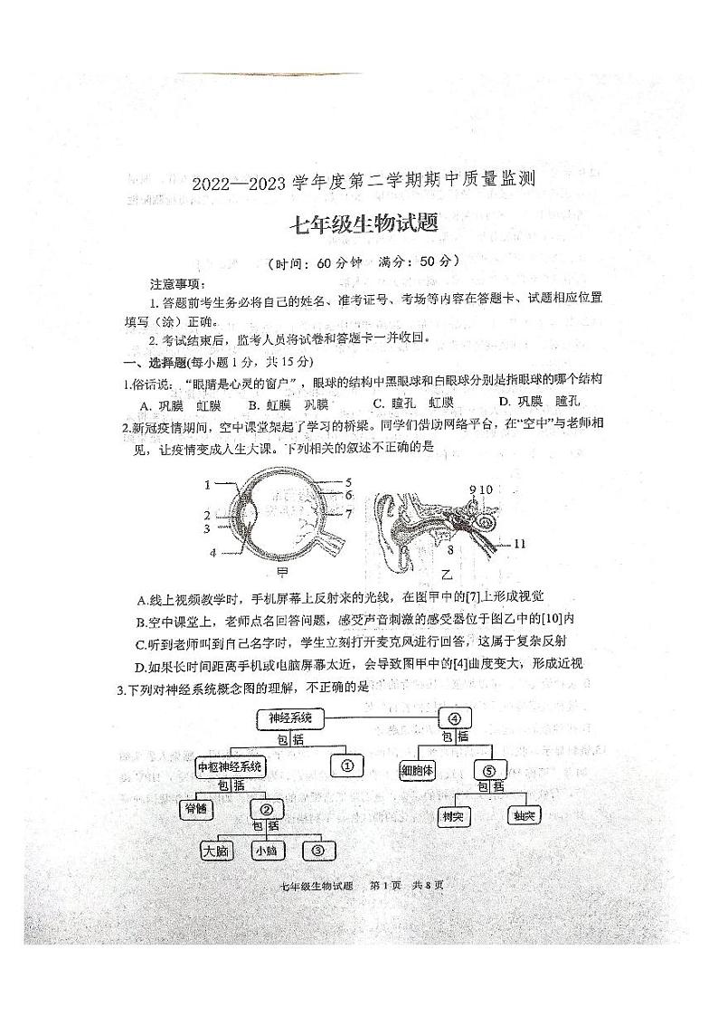 山东省泰安市宁阳县2022-2023学年七年级下学期期中考试生物试题01