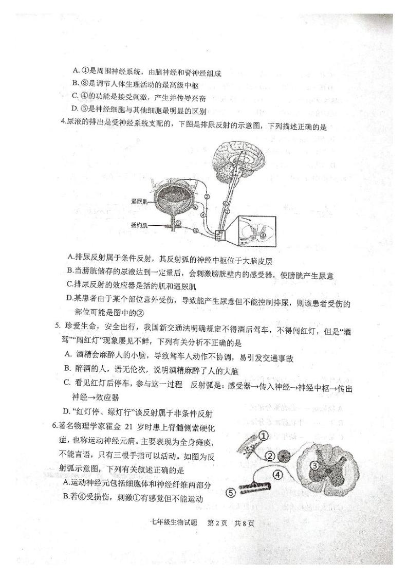 山东省泰安市宁阳县2022-2023学年七年级下学期期中考试生物试题02