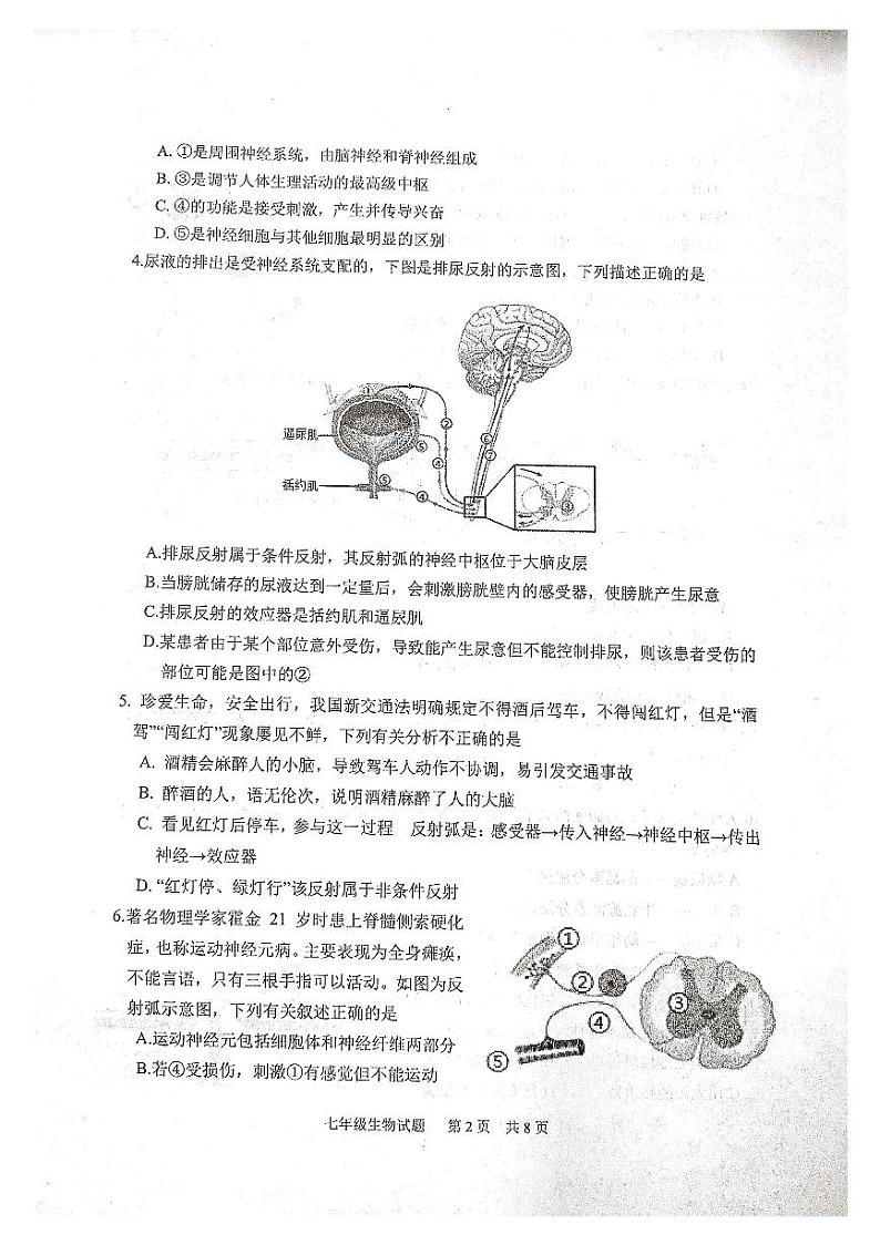 山东省泰安市宁阳县2022-2023学年七年级下学期期中考试生物试题02