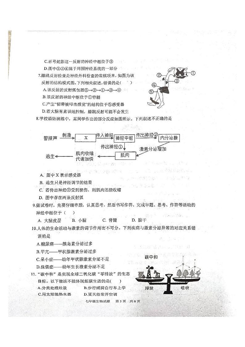 山东省泰安市宁阳县2022-2023学年七年级下学期期中考试生物试题03