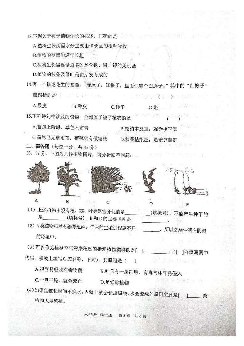 山东省泰安市宁阳县2022-2023学年六年级下学期期中考试生物试题第3页