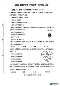 山东省泰安市高新区2022-2023学年七年级下学期期中生物试题（图片版含答案）