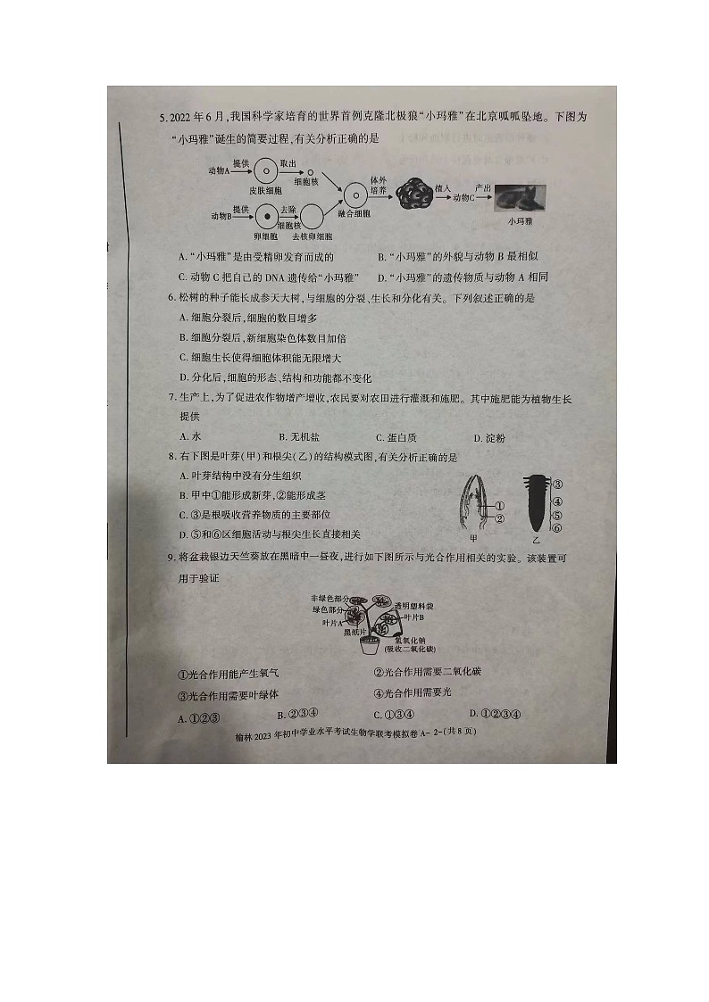 2023年陕西省榆林市市联考一模生物试题02