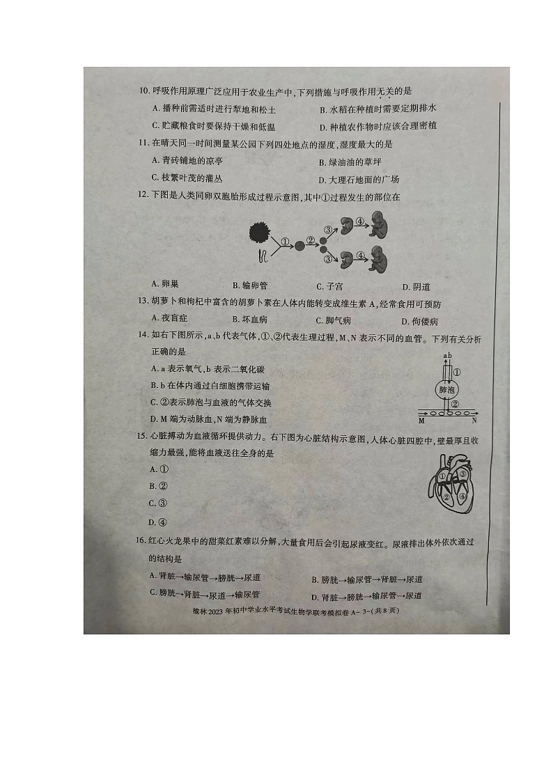 2023年陕西省榆林市市联考一模生物试题03