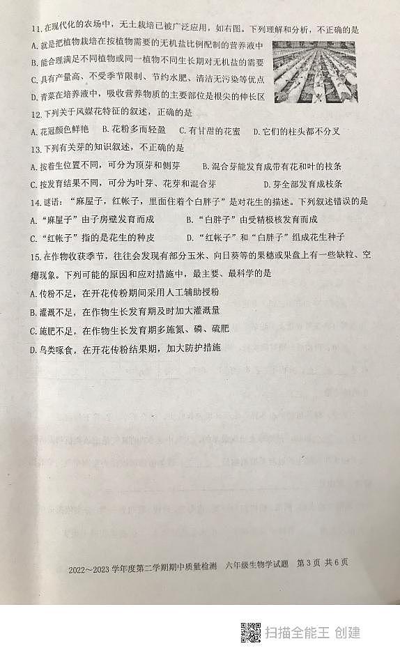 山东省泰安市东平县2022-2023学年六年级下学期期中考试生物试题03