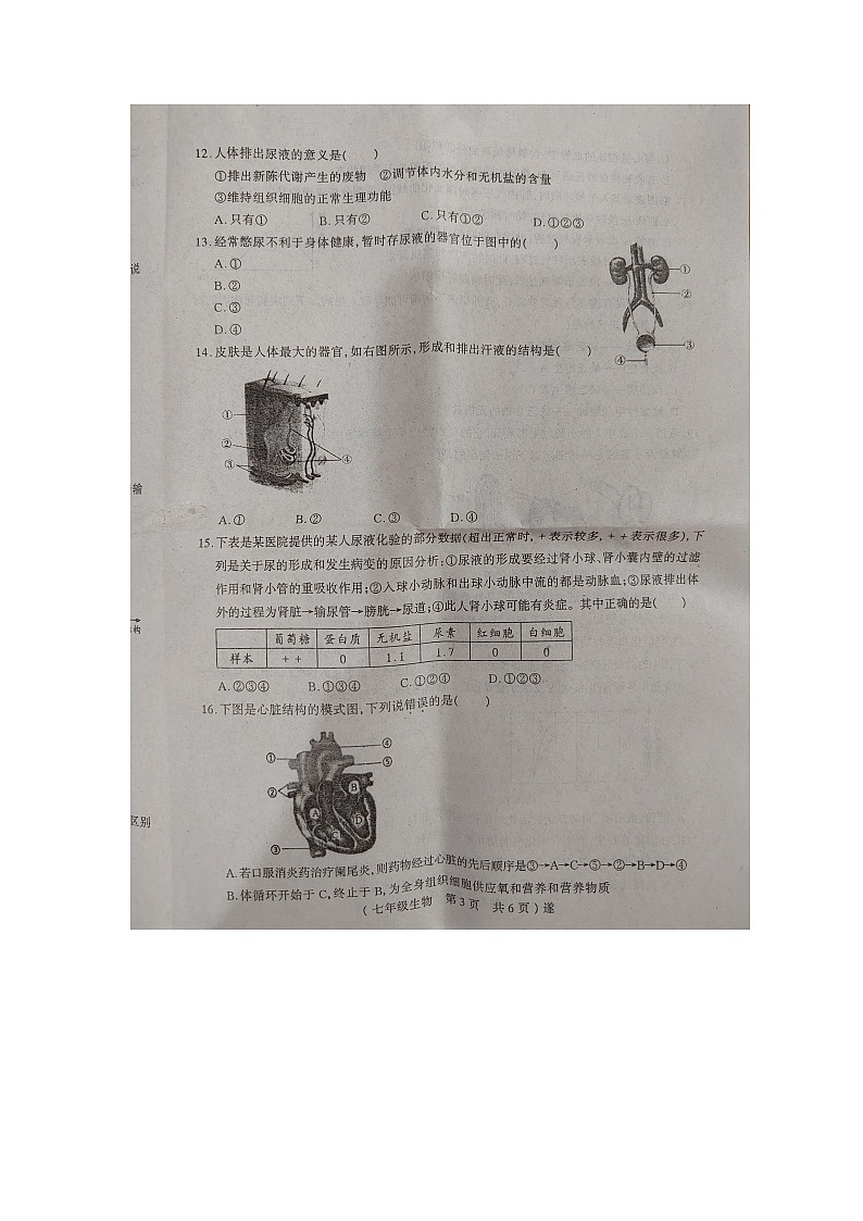 河南省驻马店市遂平县2022-2023学年七年级下学期期中生物试题03