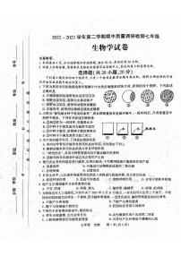 河南省洛阳市伊川县2022-2023学年七年级下学期期中生物试题