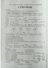 江苏省连云港市灌南县2022-2023学年七年级下学期期中生物试题