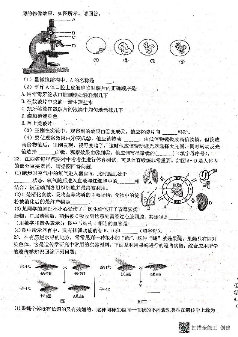 江西省吉安市十校联盟2022-2023学年八年级下学期期中生物试题第3页