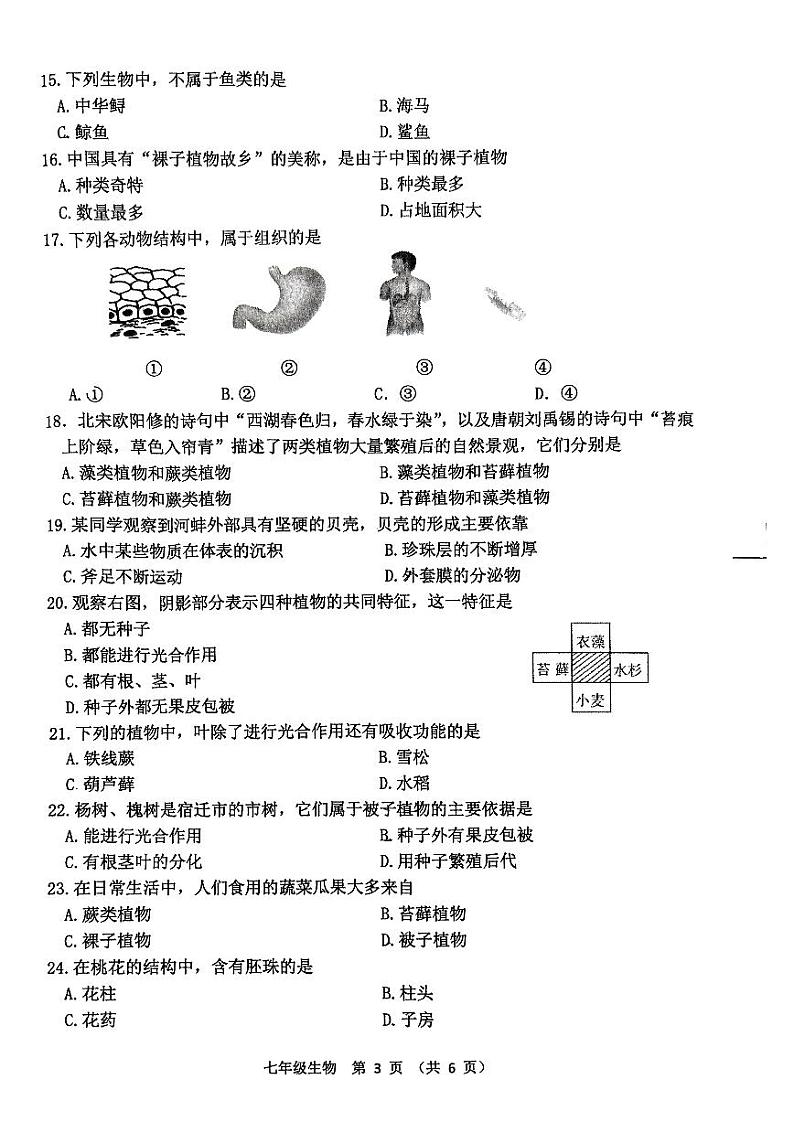 江苏省宿迁市宿城区南京师范大学附属中学宿迁分校2022-2023学年七年级下学期期中生物试题第3页