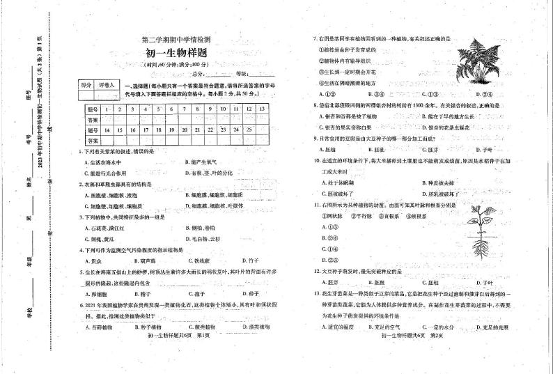 山东省泰安市泰山区2022-2023学年六年级下学期期中考试生物试题01