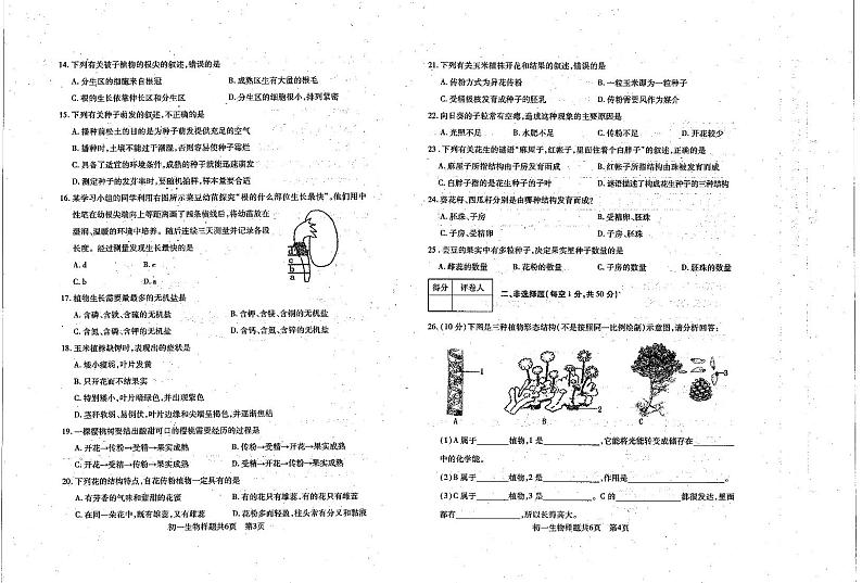 山东省泰安市泰山区2022-2023学年六年级下学期期中考试生物试题02