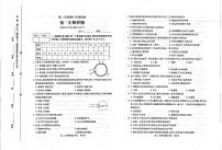 山东省泰安市泰山区2022-2023学年七年级下学期期中考试生物试题