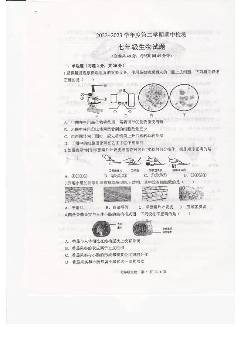 江苏省徐州市2022-2023学年七年级下学期期中生物试题第1页