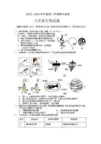 江苏省徐州市贾汪区2022-2023学年八年级下学期期中抽测生物试题