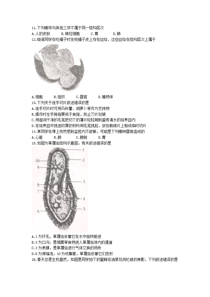 江苏省徐州市铜山区2022-2023学年七年级下学期期中生物试题03