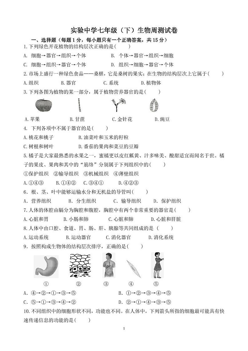 七下生物周测试卷(1)第1页