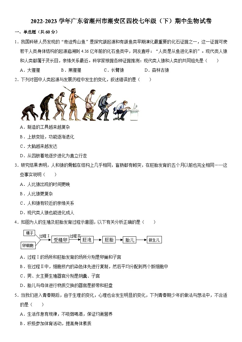 2022-2023学年广东省潮州市潮安区四校七年级（下）期中生物试卷  word，解析版01
