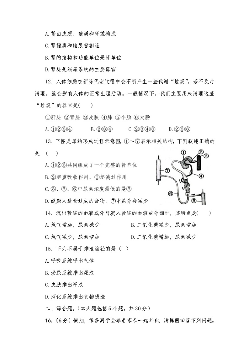 生物七年级下册第三章达标训练测试卷第3页