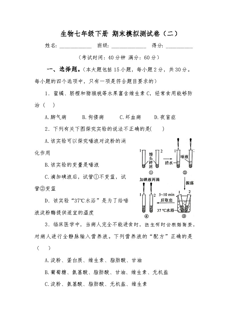 生物七年级下册 期末模拟测试卷（二）第1页