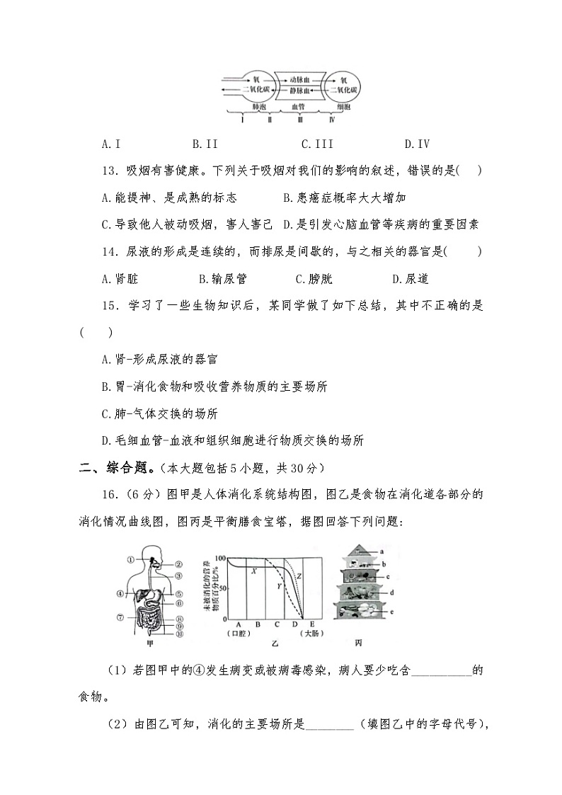 生物七年级下册期中复习测试卷第3页