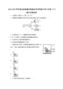 2022-2023学年湖北省恩施州恩施市龙凤民族中学八年级（下）期中生物试卷（含解析）