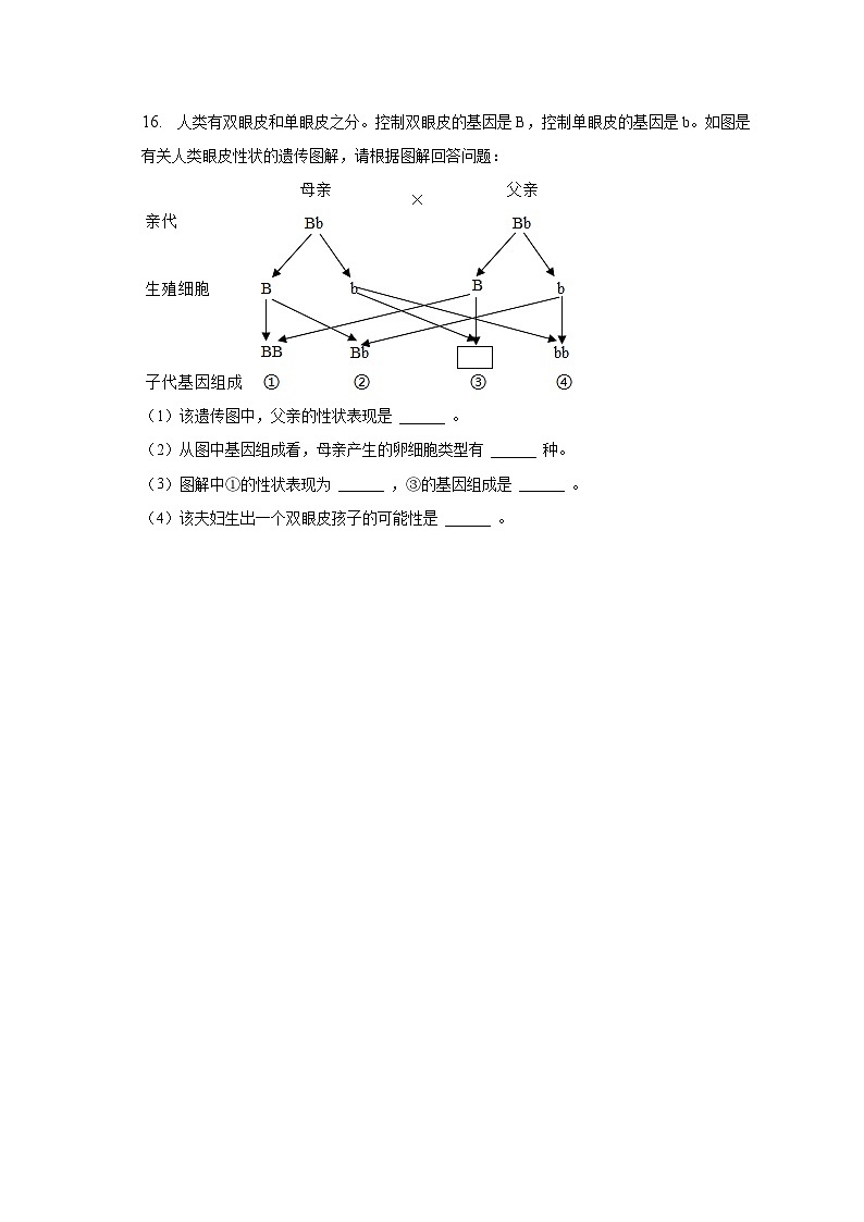 2023年甘肃省武威市凉州区中考生物第三次质检试卷（含解析）第3页