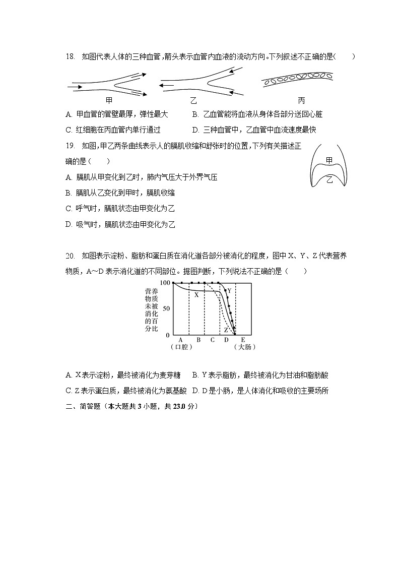2022-2023学年河南省周口市郸城县七年级（下）期中生物试卷（含解析）第3页