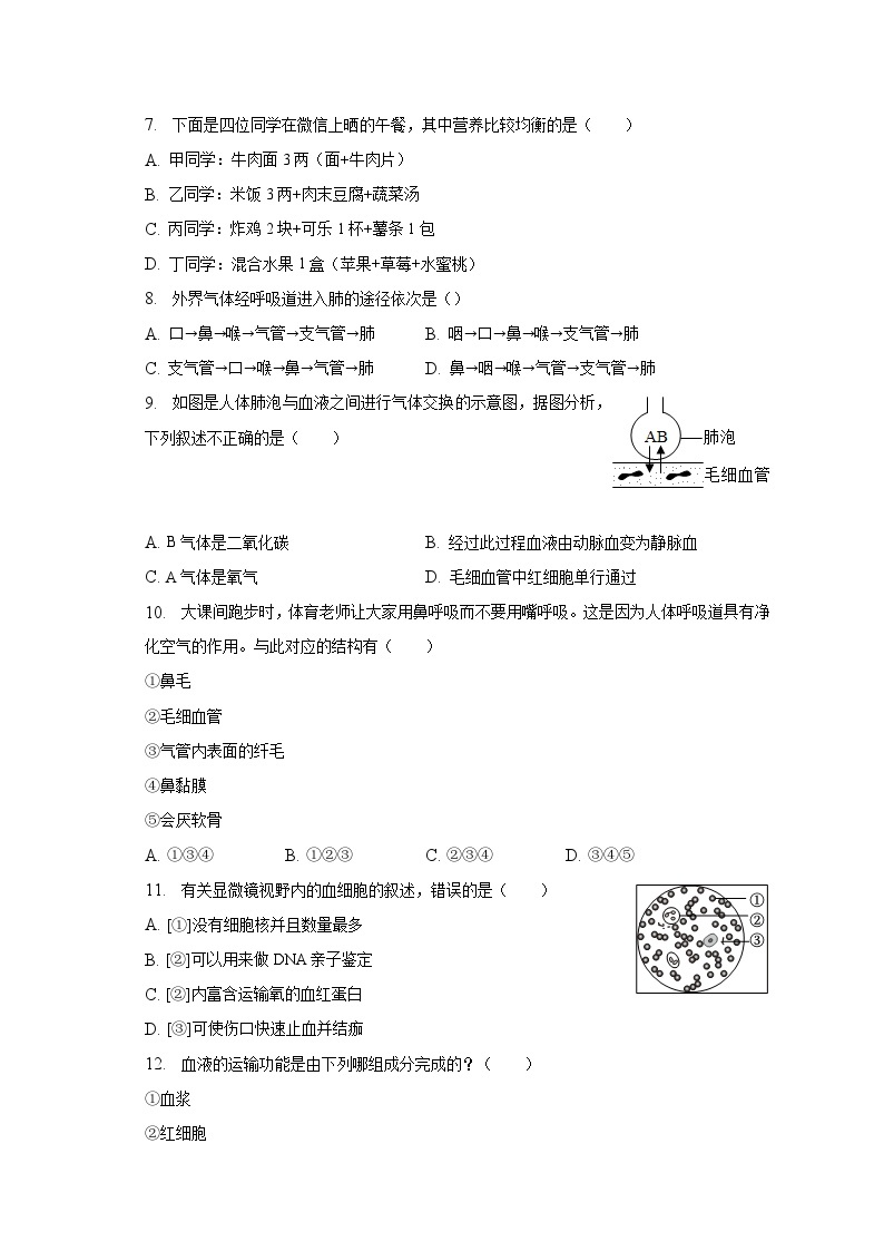 2022-2023学年湖北省宜昌市远安县鸣凤中学七年级（下）月考生物试卷（3月份）（含解析）02