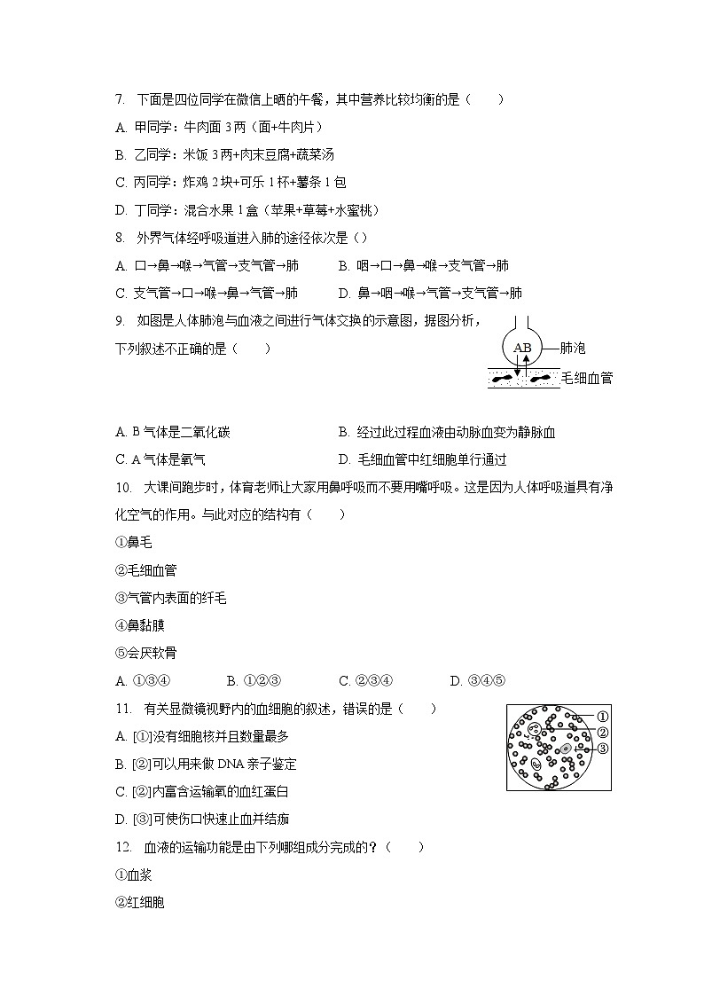 2022-2023学年湖北省宜昌市远安县鸣凤中学七年级（下）月考生物试卷（3月份）（含解析）第2页