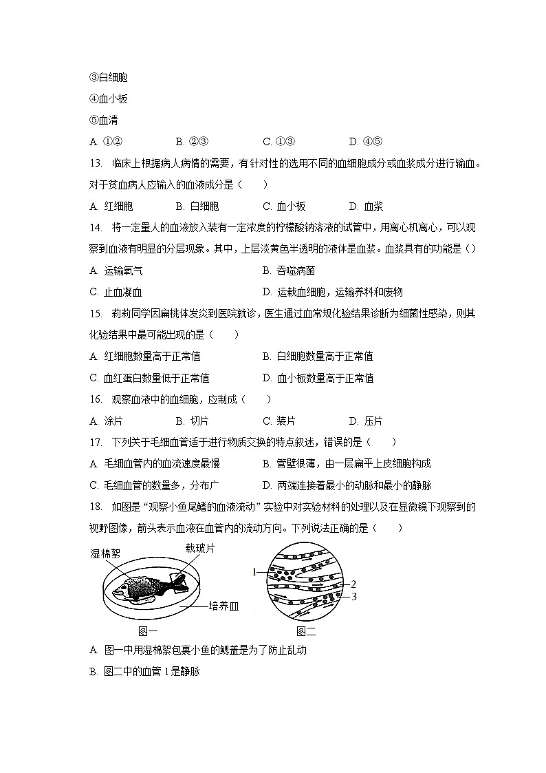 2022-2023学年湖北省宜昌市远安县鸣凤中学七年级（下）月考生物试卷（3月份）（含解析）第3页