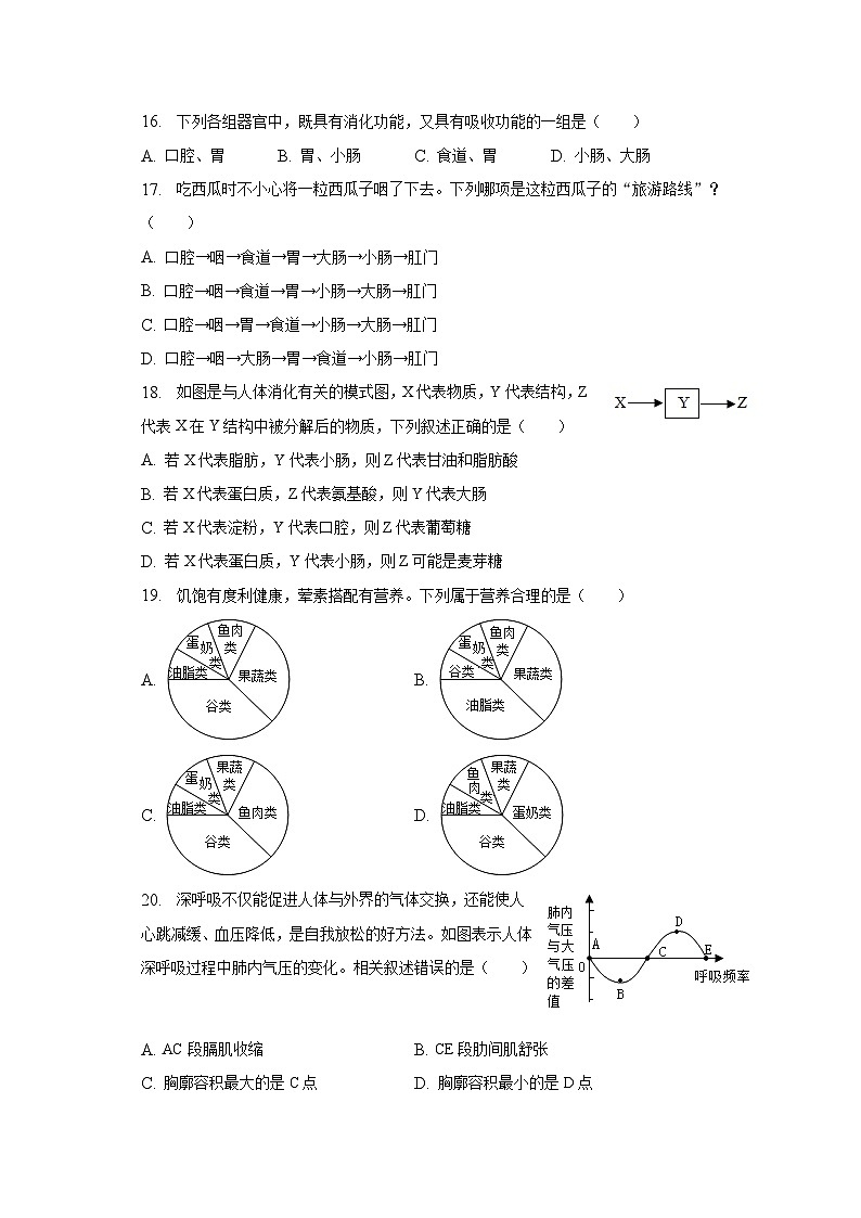 2022-2023学年湖南省邵阳市新邵县七年级（下）期中生物试卷（含解析）第3页