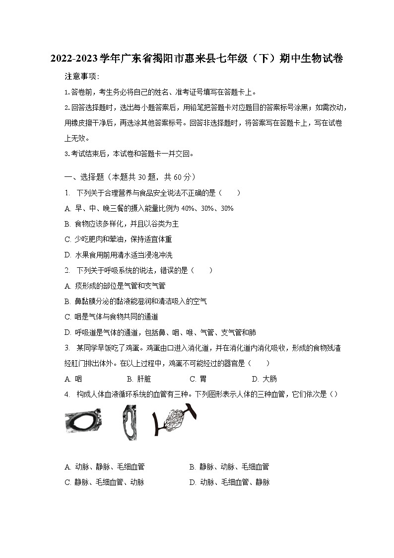 2022-2023学年广东省揭阳市惠来县七年级（下）期中生物试卷（含解析）01