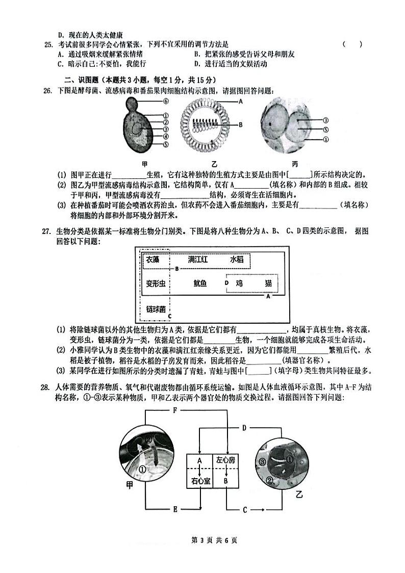 湖南省长沙市2022-2023-2 雅礼教育集团 初二期中第二个学期 生物试卷（含答案）第3页