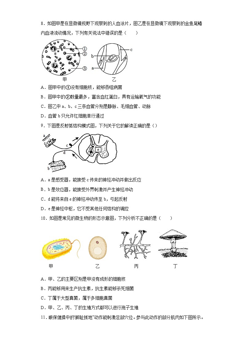 2023年中考押题预测卷01（南通卷）-生物（考试版）A4第3页