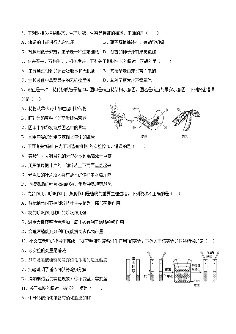 2023年中考押题预测卷01（云南新中考专用卷）-生物（考试版）A4第2页
