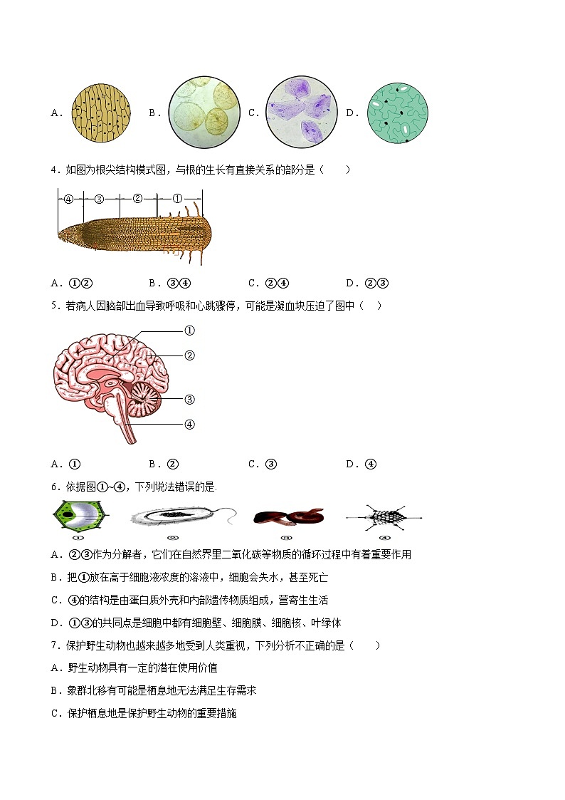 2023年中考押题预测卷01（徐州卷）-生物（考试版）A402