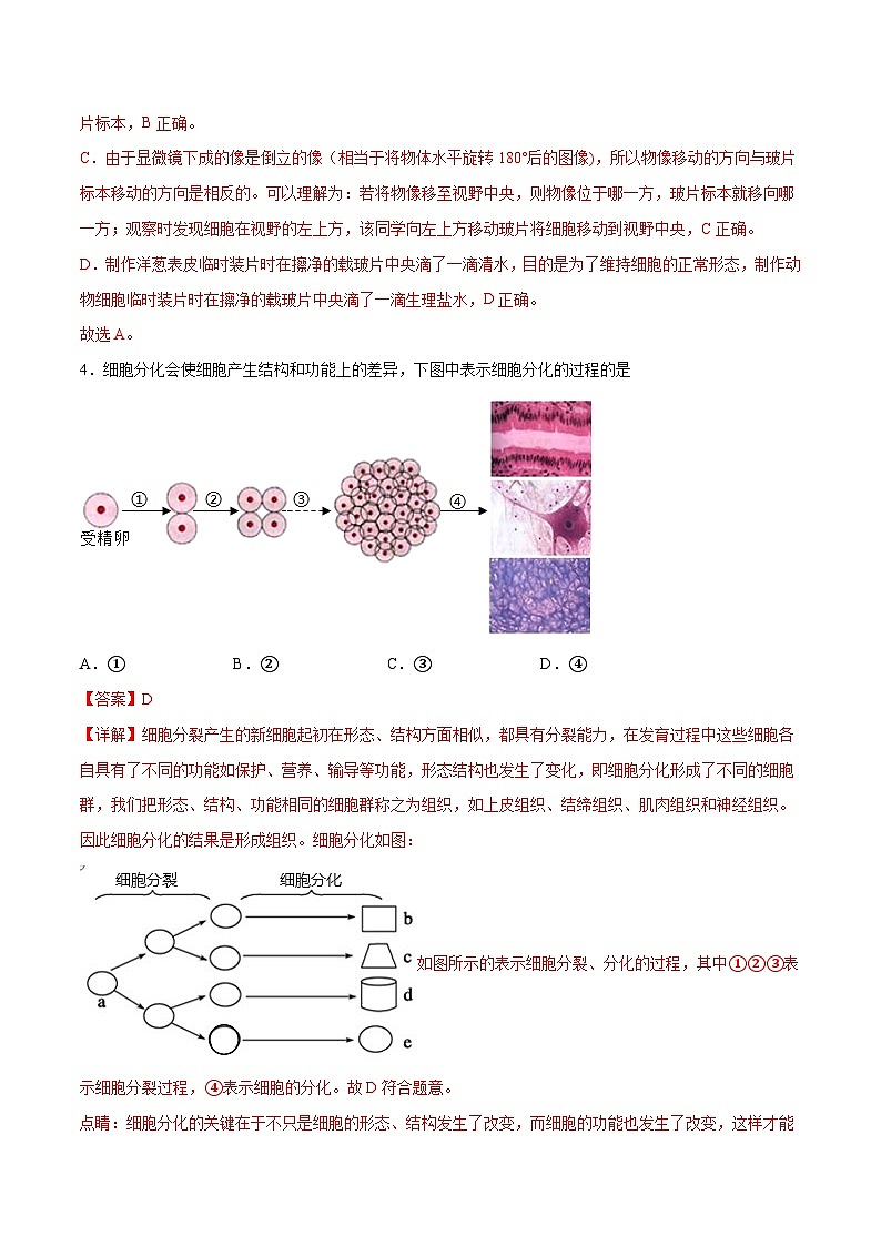 2023年中考押题预测卷01（盐城卷）-生物（全解全析）第3页