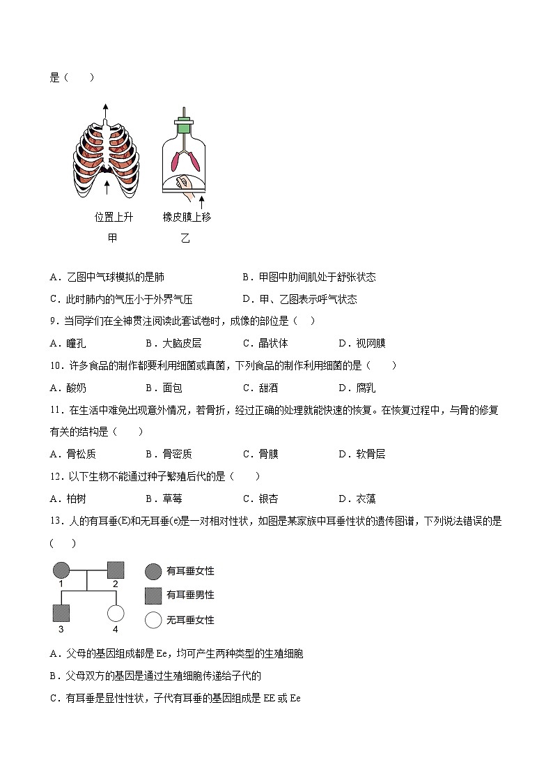 2023年中考押题预测卷02（南通卷）-生物（考试版）A403
