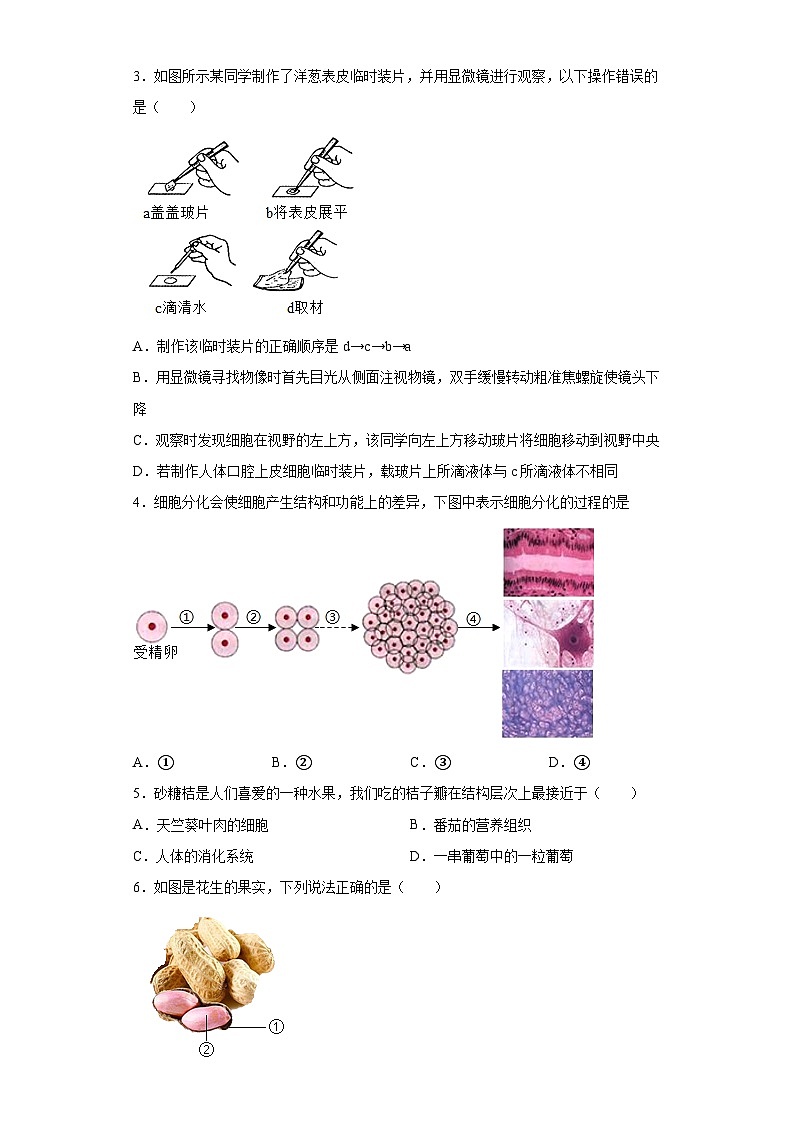 2023年中考押题预测卷01（江苏盐城卷）-生物02