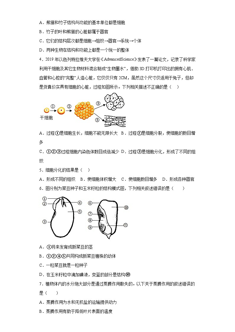 2023年中考押题预测卷02（盐城卷）-生物（考试版）A4第2页