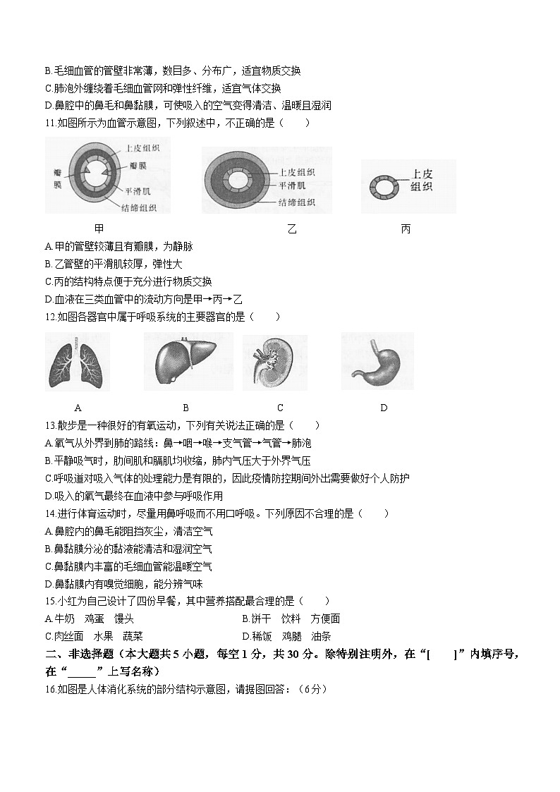 广西河池市凤山县2022-2023学年七年级下学期期中生物试题（含答案）第2页